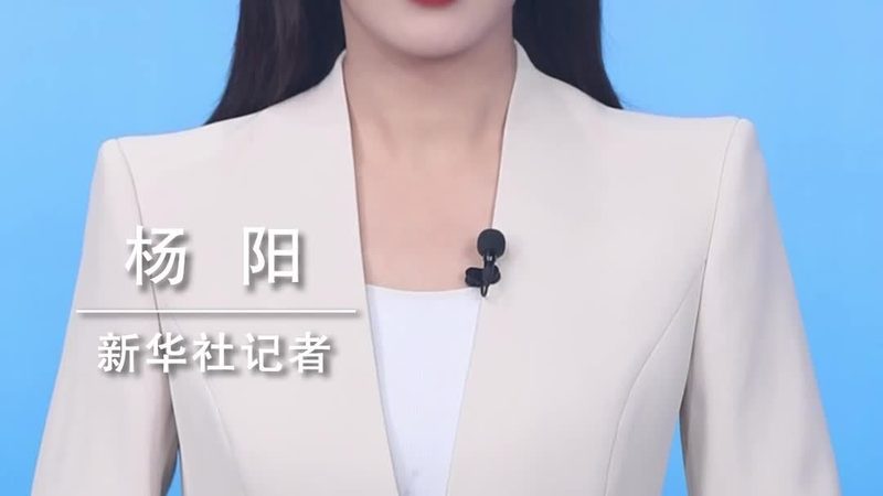 智慧解决方案落地：从标杆案例看行业转型的真实路径